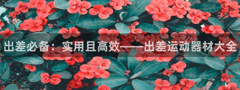 fb体育平台注册流程图：出差必备：实用且高效——出差