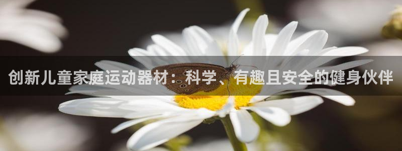 fb体育平台注册：创新儿童家庭运动器材：科学、有趣且