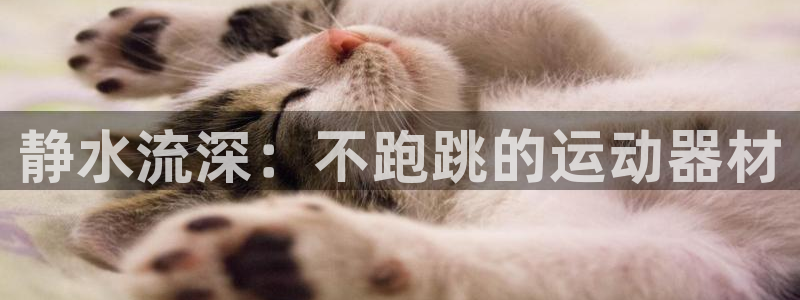 fb体育联系电话：静水流深：不跑跳的运动器材