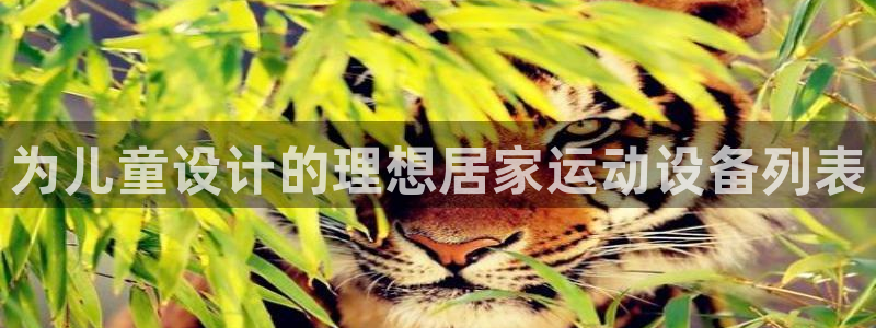 fb体育招商电话地址是多少：为儿童设计的理想居家运动