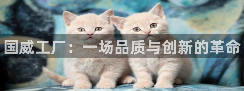 海南fb体育：国威工厂：一场品质与创新的革命