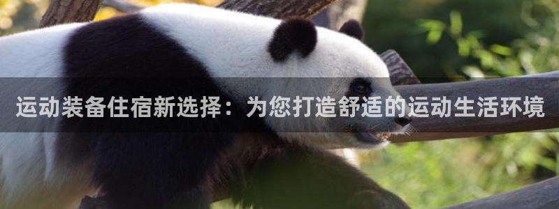 fb体育招商电话号码查询：运动装备住宿新选择：为您打造舒适的