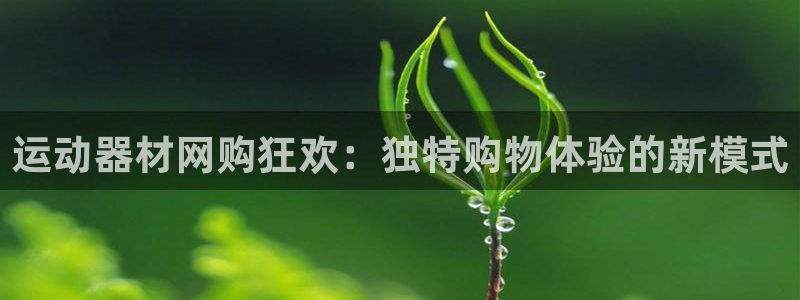 fb体育娱乐：运动器材网购狂欢：独特购物体验的新模式