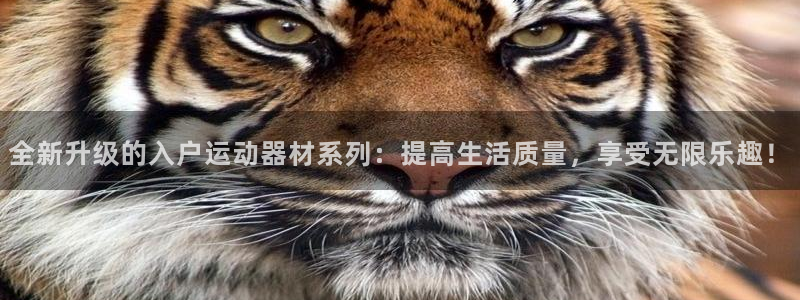 fb体育集团简介：全新升级的入户运动器材系列：提高生活质量，