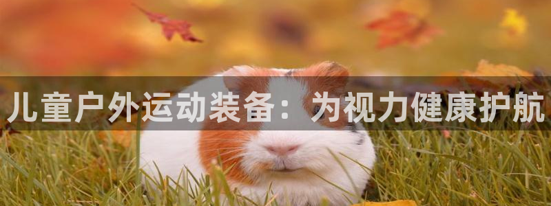 fb体育官方客服电话：儿童户外运动装备：为视力健康护航