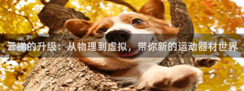 海南fb体育：云梯的升级：从物理到虚拟，带你新的运动器材世界
