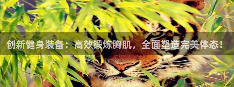 fb体育平台是正规平台吗知乎：创新健身装备：高效锻炼胸肌，全