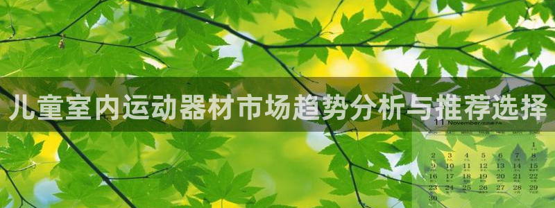 fb体育新能源：儿童室内运动器材市场趋势分析与推荐选