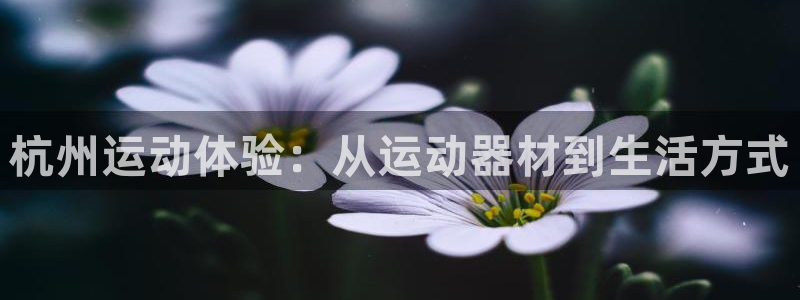 fb体育娱乐40996：杭州运动体验：从运动器材到生