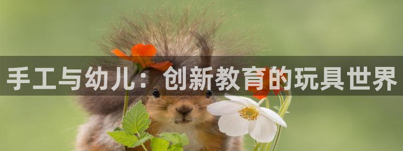 fb体育平台是正规平台吗知乎：手工与幼儿：创新教育的玩具世界