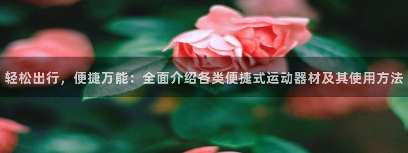 fb体育平台注册流程图：轻松出行，便捷万能：全面介绍