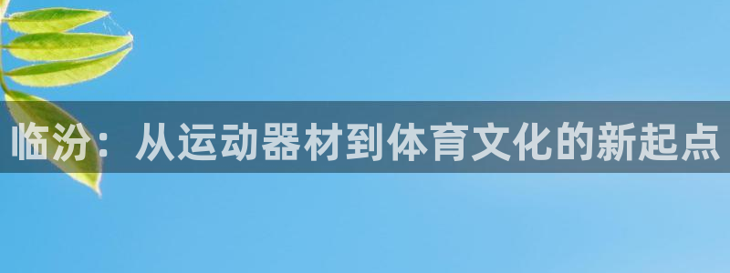 fb体育娱乐是那个系列的台子：临汾：从运动器材到体育文化的新
