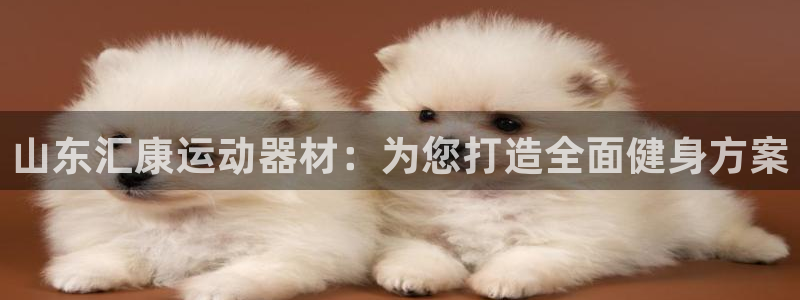 fb体育娱乐40996：山东汇康运动器材：为您打造全面健身方